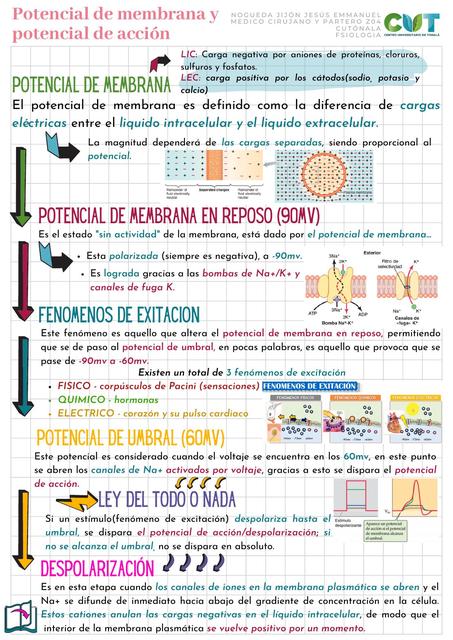 Potencial de Membrana y Potencial de Acción