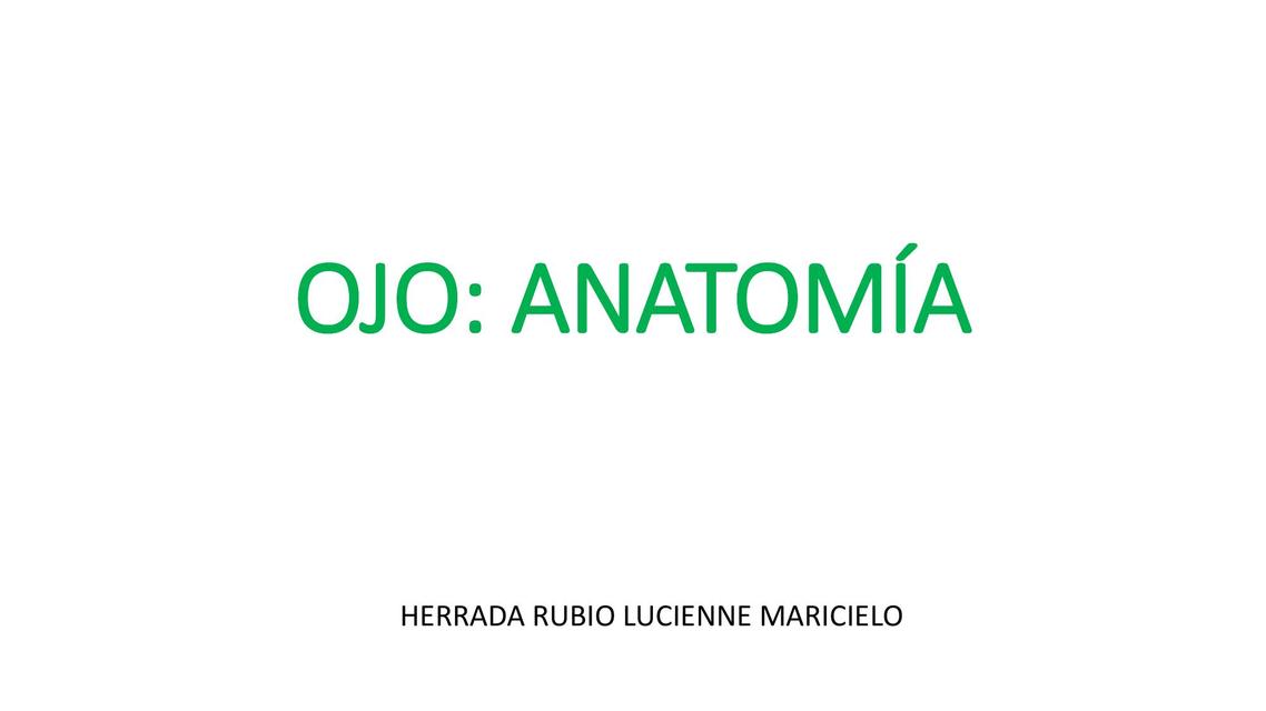 Anatomía del ojo