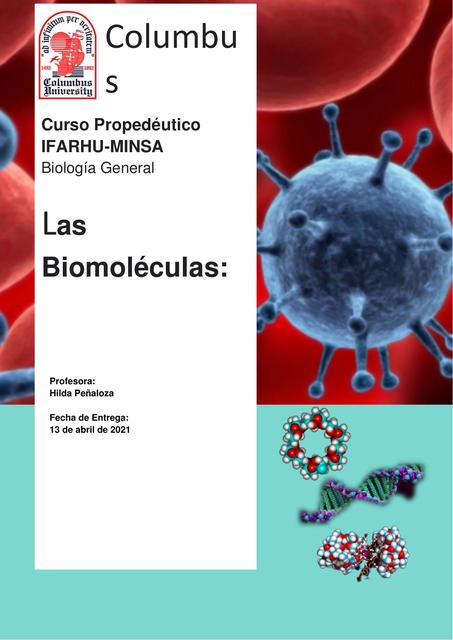 Las Biomoléculas 