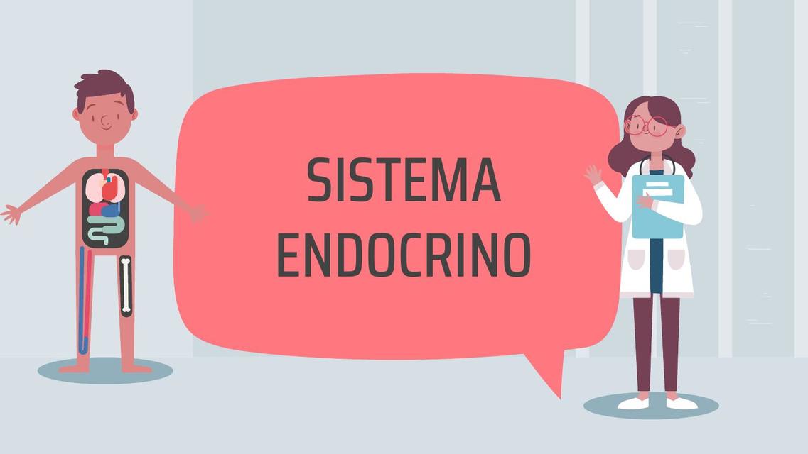 Sistema Endocrino 