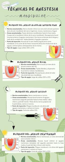 Técnicas de Anestesia Mandibular