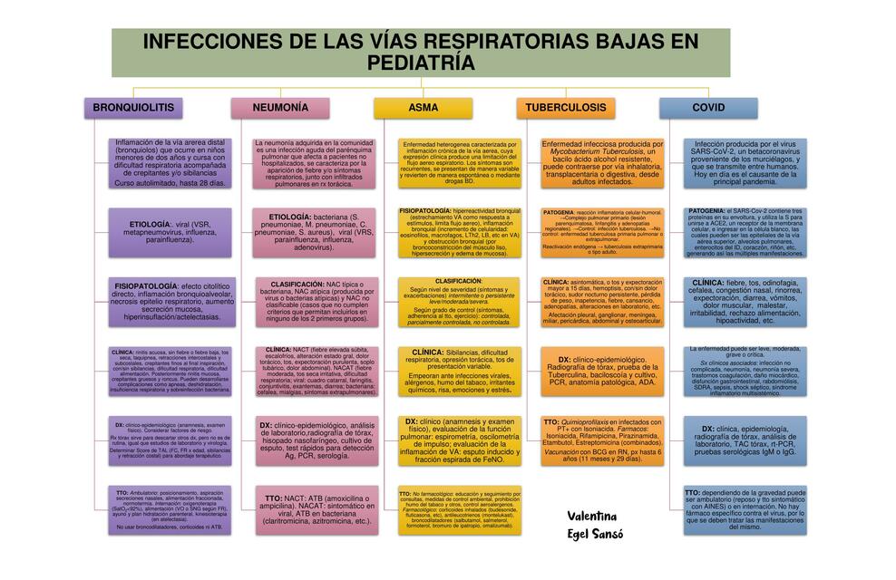 Infecciones De Las V As Respiratorias Bajas En Pediatr A Valees Udocz