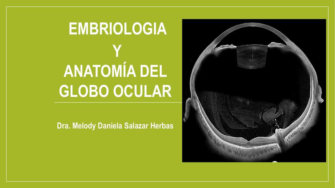 Embriología y anatomía del globo ocular