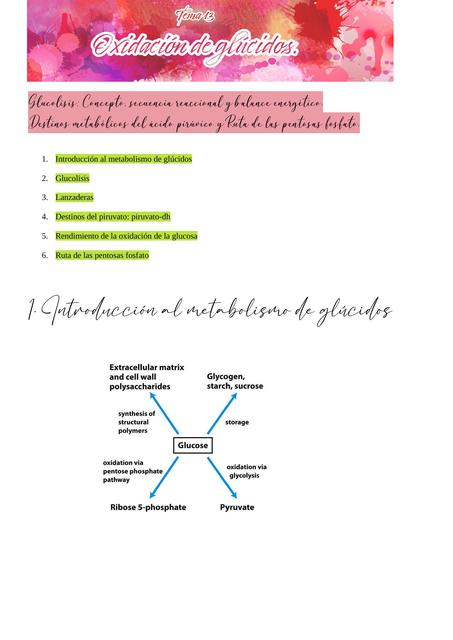 Bioquímica Básica pt 5