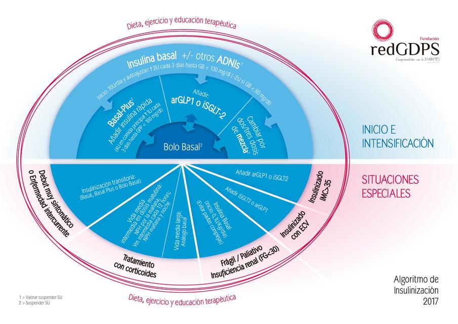 Algoritmo Insulinizacion