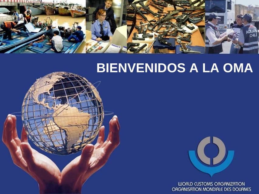 Organización Mundial de Aduanas PPT