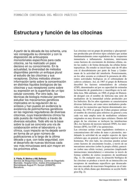 Citocinas