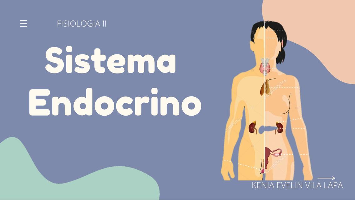 Sistema Endocrino