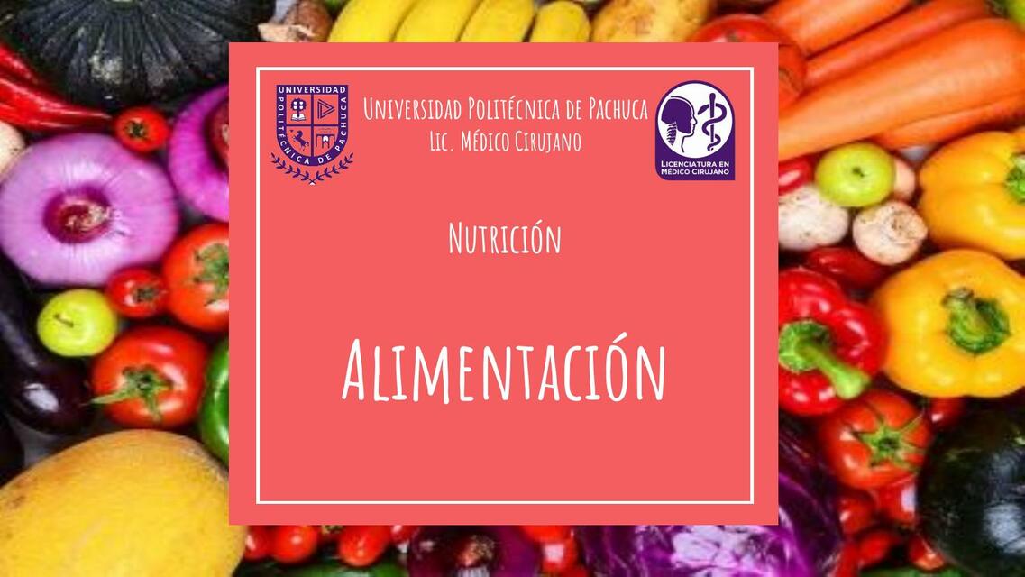 Alimentación - Generalidades