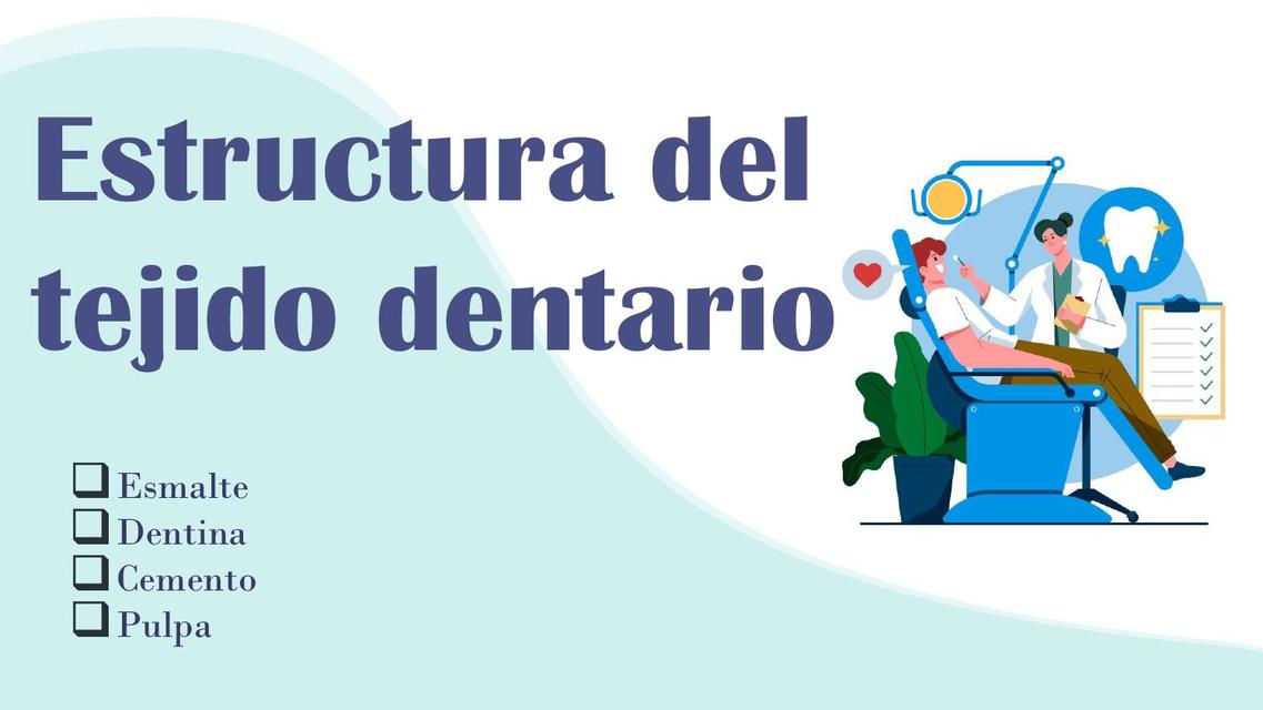 Estructura del Tejido Dentario