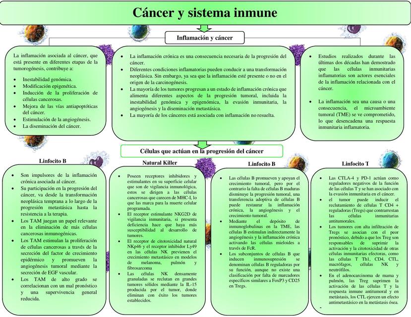 Cáncer y Sistema Inmune 