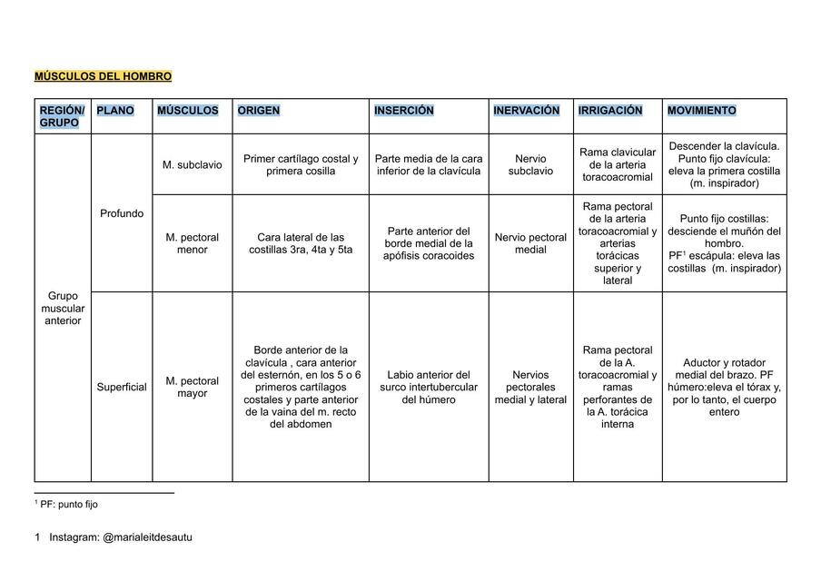 Músculos del Miembro Superior