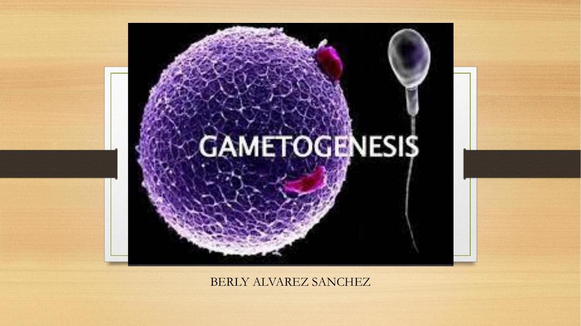 Gametogenesis Fecundación Implantación Placentación