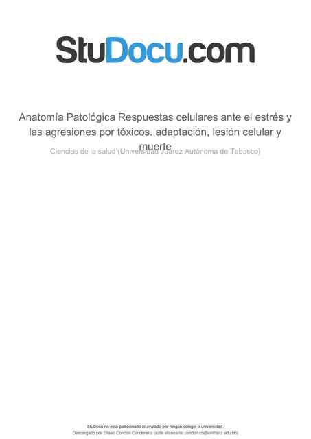 Anatomía Patológica 