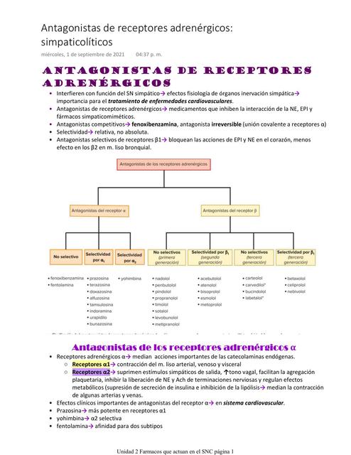 ANTAGONISTAS ADRENÉRGICOS - Farmacologia I