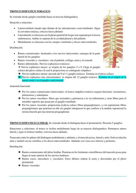 Sistema Autónomo 