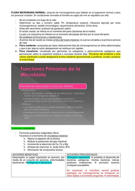 Microbiología