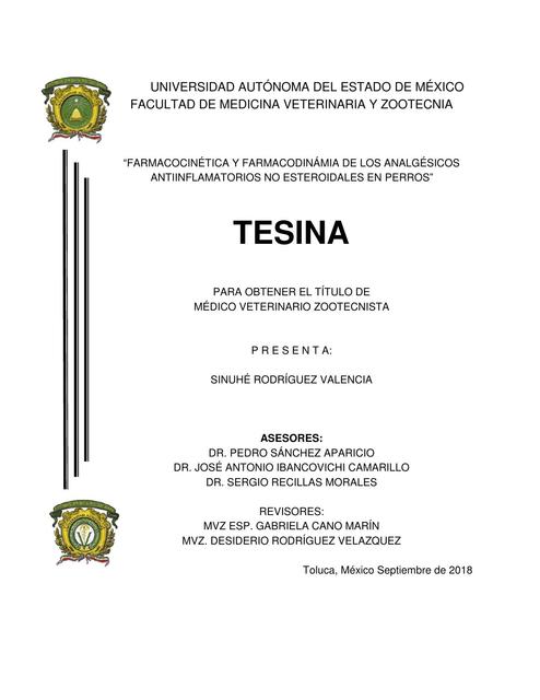 Tesina 