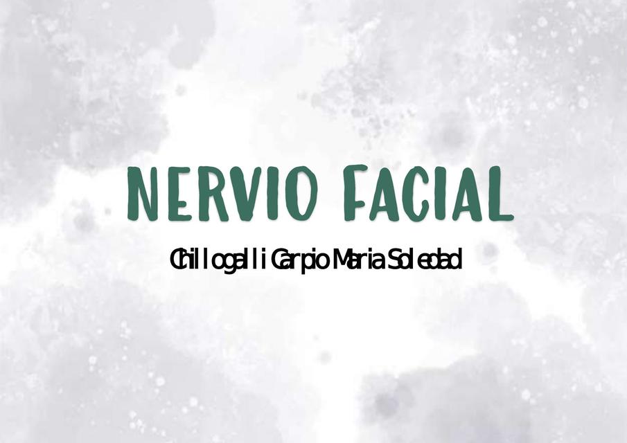 Nervio Facial 