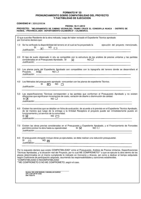 FORMATO N 33CONDOR