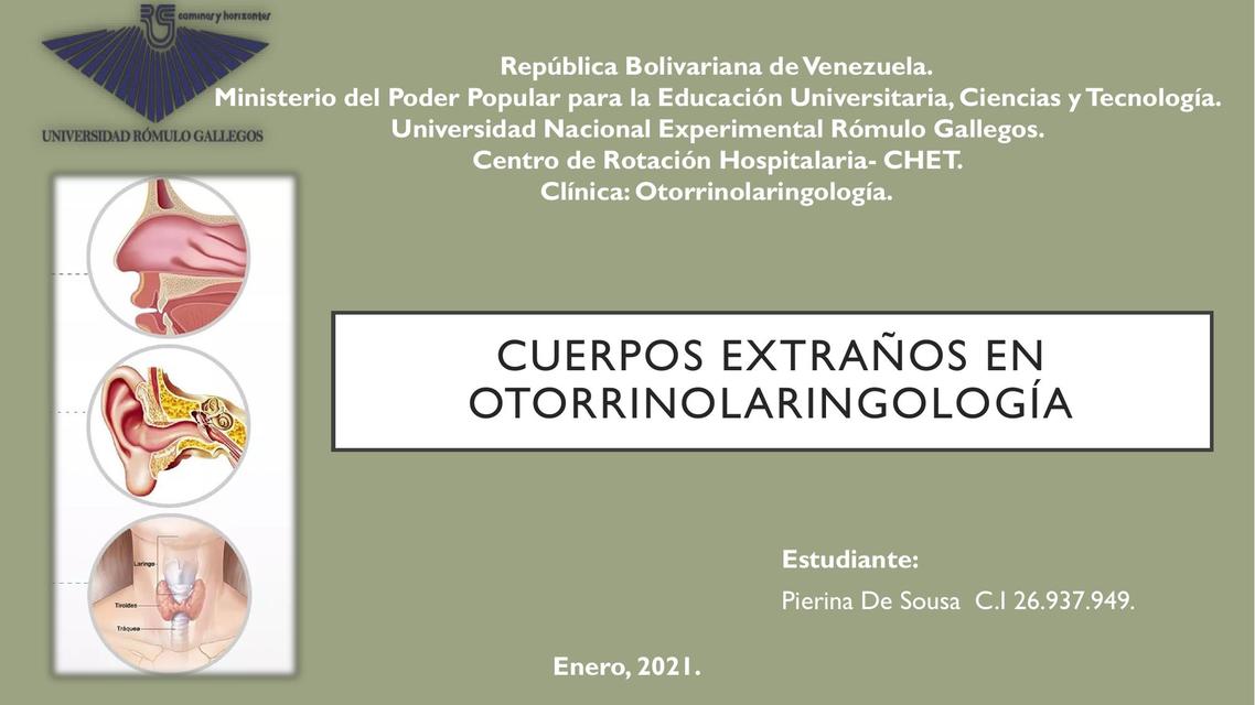 Cuerpos Extraños en Otorrinolaringología 