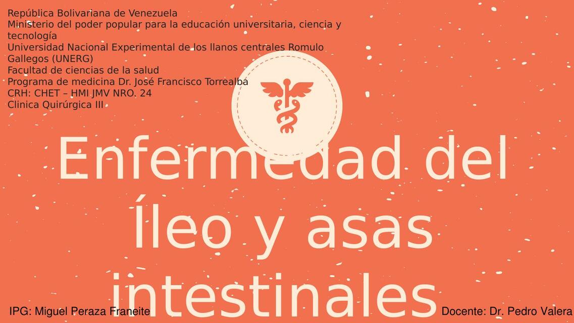 Enfermedad del Íleo y Asas Intestinales