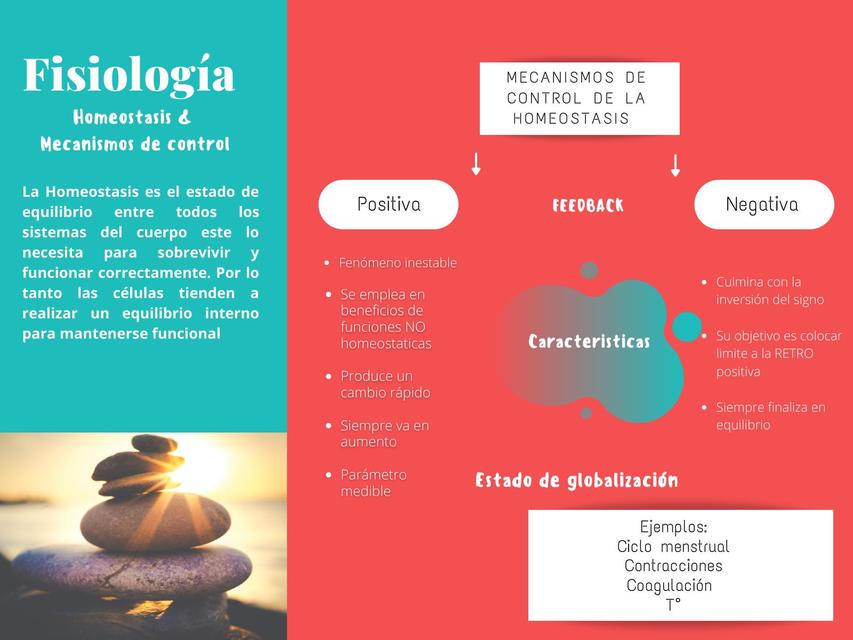 Fisiología Humana