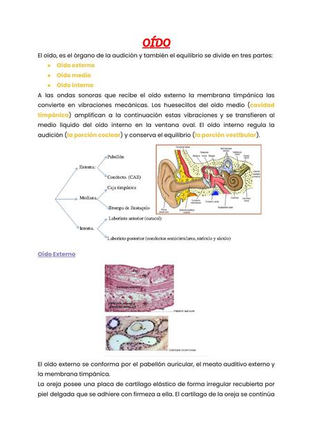 Oído 