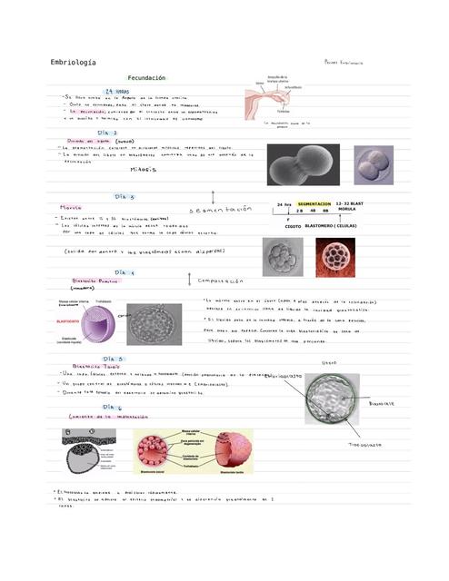 Embriología
