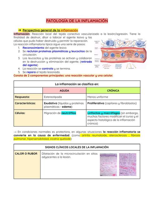 Patología de la Inflamación