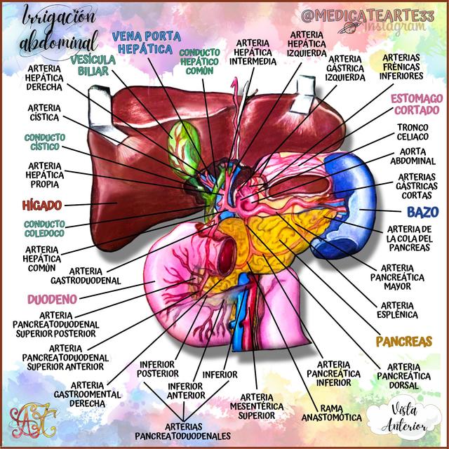 Irrigación Abdominal 