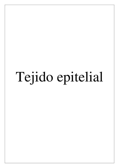 Tejido Epitelial 