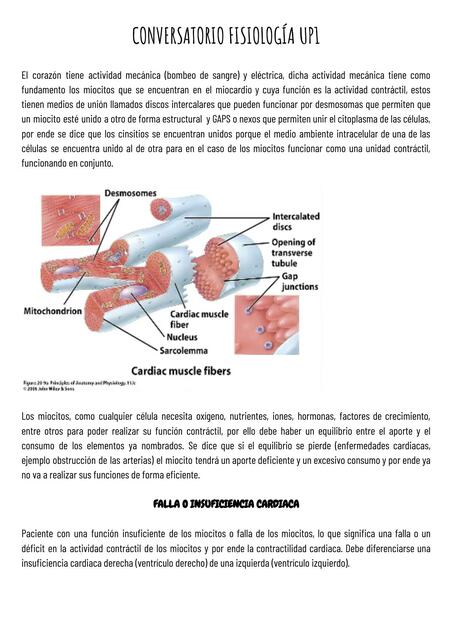 Fisiología Cardíaca