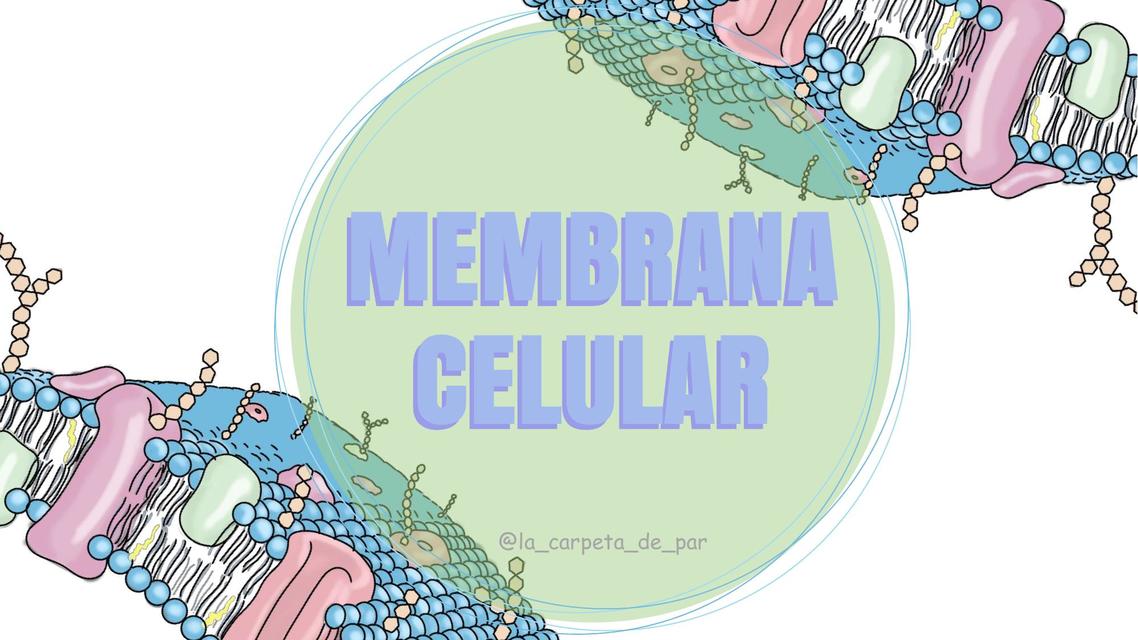 Membrana celular