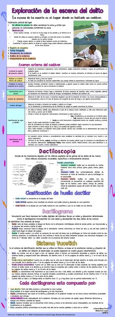 Exploración de la Escena del Crimen