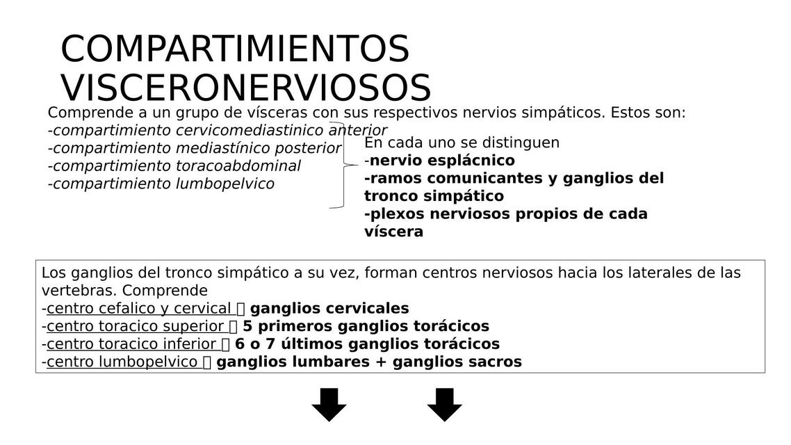 Tronco Simpático y Plexos 