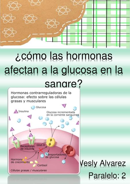 ¿Cómo las Hormonas Afectan a la Glucosa en la Sangre?