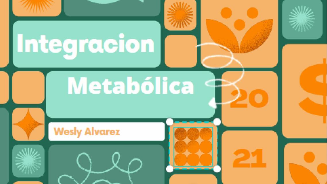 Integración Metabólica 