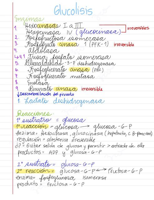 Repaso Glucolisis descarboxilación Oxidativa del Piruvato y Fermentación