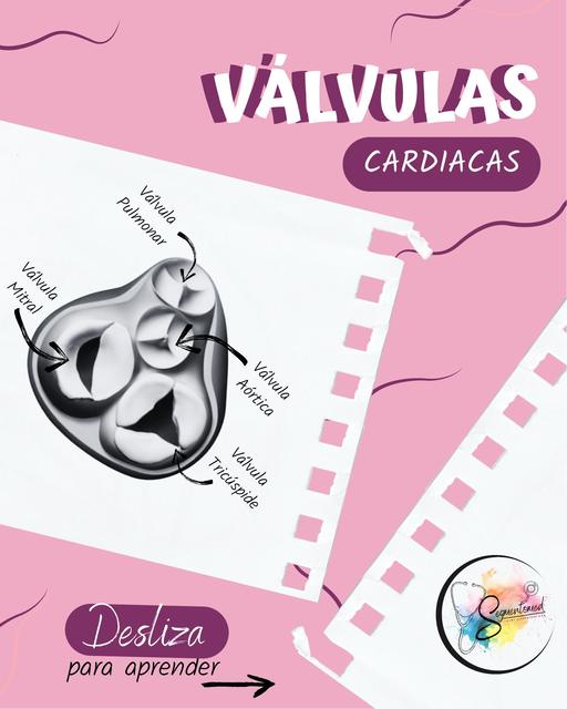 Válvulas Cardiacas