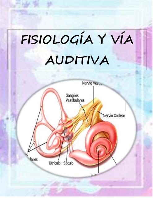 Fisiología De la Audición