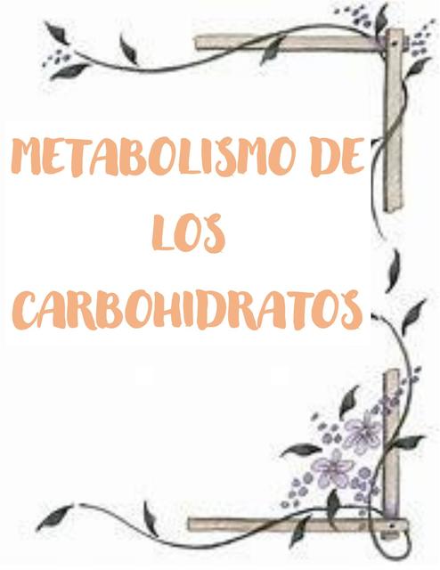 Metabolismo de los Carbohidratos