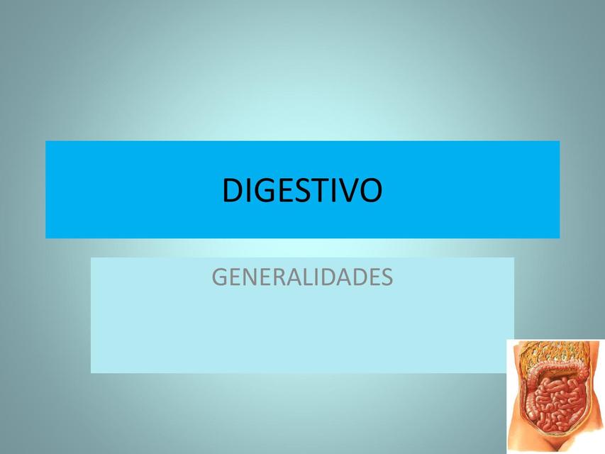 Digestivo 