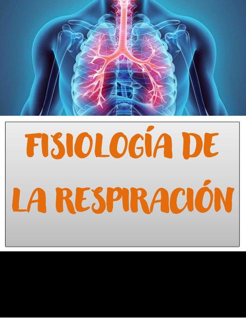 Fisiología de la respiración