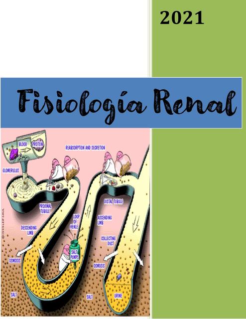 Fisiología Renal