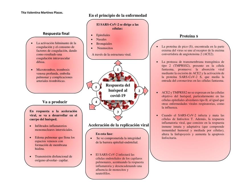 Respuesta del Huésped al Covid-19