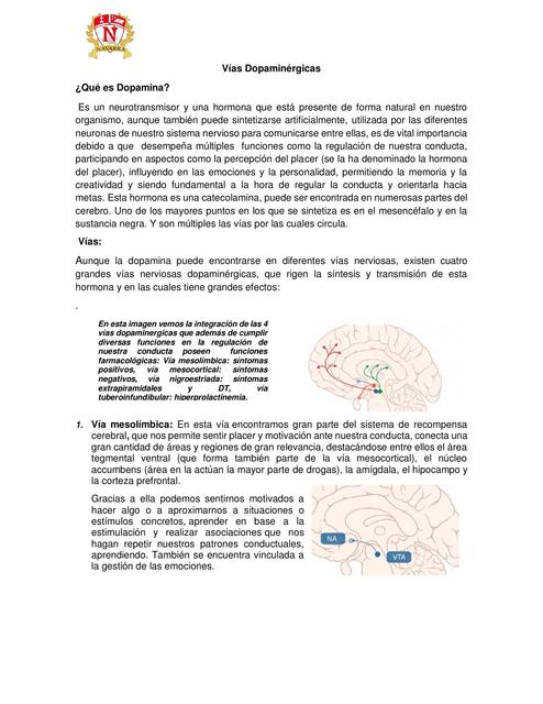 Vías Dopaminérgicas