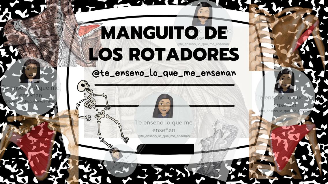 MANGUITO DE LOS ROTADORES