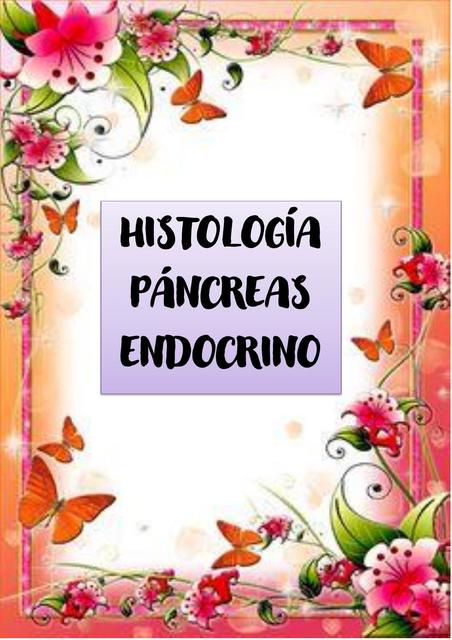 Histología de Pancreas Endócrino