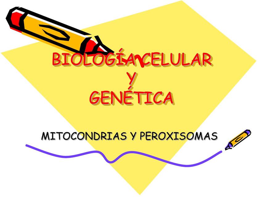 mitocondrias 1